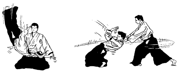 sumi otoshi a ushiro kiri otoshi